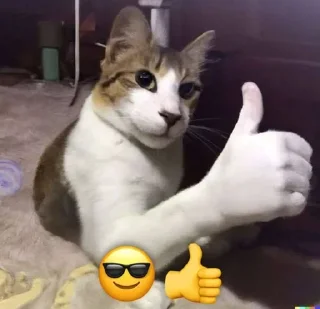 👍 emoji 俄罗斯鹅.🧧 Telegram sticker 22 of 120