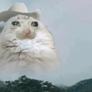 😭 emoji Sad Cat | @HoGif Telegram sticker 9 of 99