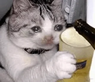 😢 emoji Sad cat @sticker_memes Telegram sticker 24 of 26
