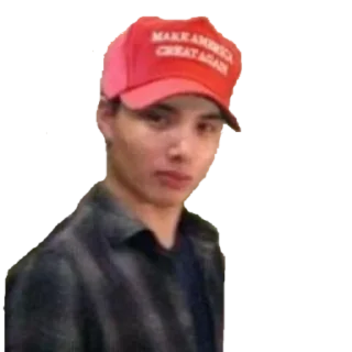 🇺🇸 emoji T.me/addstickers/elliot_rodger Telegram sticker 16 of 45
