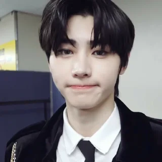 🐼 emoji Sunghoon <3 Telegram sticker 11 of 27