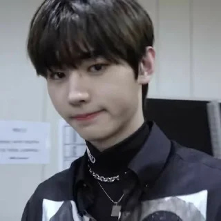 🐼 emoji Sunghoon <3 Telegram sticker 19 of 27