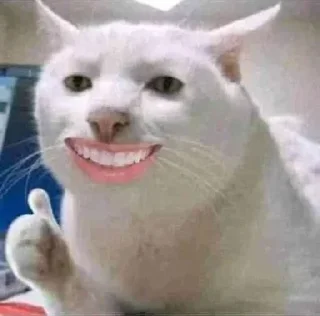 Sticker from white cat julian