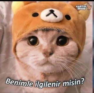 🥺 emoji ⚜️Yiğit Özr ⚜️ Telegram sticker 17 of 25