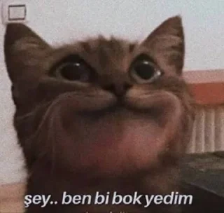 🤦‍♂️ emoji ⚜️Yiğit Özr ⚜️ Telegram sticker 11 of 25