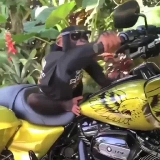 Sticker from monke