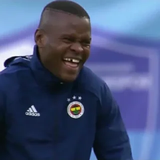 💙 emoji Fenerbahçe sticker Telegram sticker 22 of 58