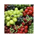 🍉 emoji یلدای 95 Telegram sticker 12 of 23