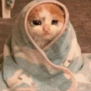 ❄️ emoji Cat Crying @ToxicPrincesses Telegram sticker 6 of 60