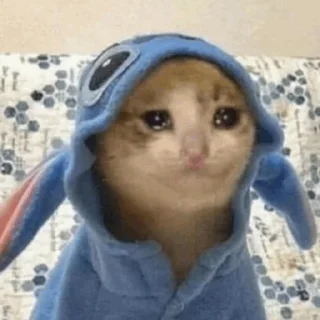 ❄️ emoji Cat Crying @ToxicPrincesses Telegram sticker 10 of 60