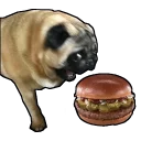 Sticker from Dawg