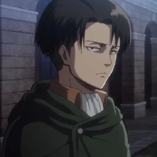 ⚔ emoji Levi Ackerman | Attack On Titan @longroadtohell Telegram sticker 5 of 120