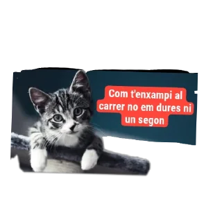 Sticker from Stickers en català