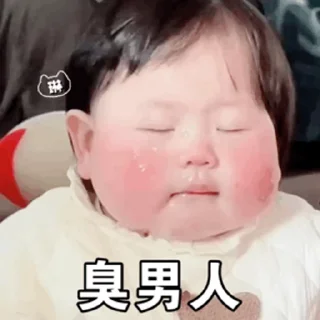 Sticker from SAL摇一摇小肉丸