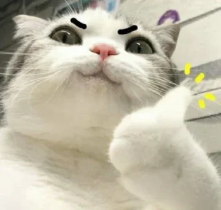 🐱 emoji 𝗰𝗮𝘁𝘀 ,,, @MoodPacks Telegram sticker 15 of 110