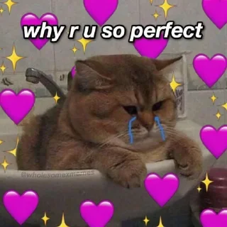 🐱 emoji 𝗰𝗮𝘁𝘀 ,,, @MoodPacks Telegram sticker 8 of 110