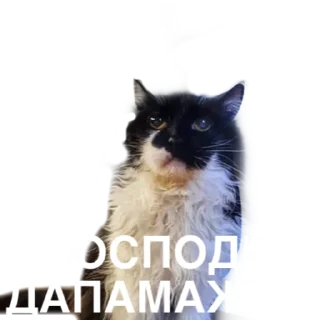 🫣 emoji Пані Монро Telegram sticker 18 of 72
