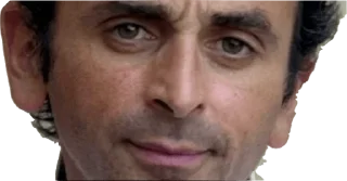 😑 emoji Zemmour @FranceCanal Telegram sticker 19 of 49