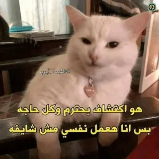🛡 emoji ⁦ਊ⁠ Telegram sticker 18 of 119