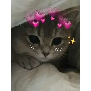 ❣ emoji @Burakciginiz @AsenaUserBot Paketi 1 Telegram sticker 23 of 71