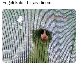 🤔 emoji @YamtarGokboruOgullari @AsenaUserBot Paketi 1 Telegram sticker 19 of 34