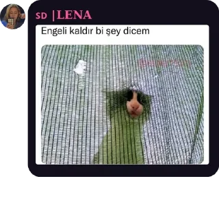 👨‍🦼 emoji @YamtarGokboruOgullari @AsenaUserBot Paketi 1 Telegram sticker 20 of 34