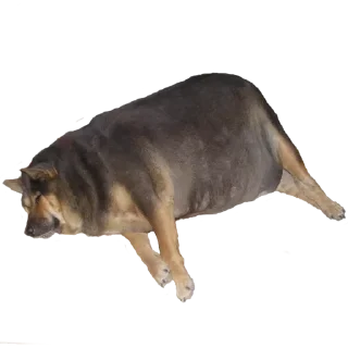 Sticker from 369