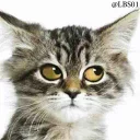 😒 emoji Cats🐾 Telegram sticker 19 of 120