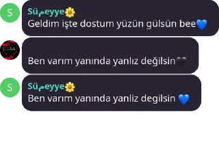 💙 emoji KIZLAR FİRARDA pack by @QuotLyBot Telegram sticker 1 of 71