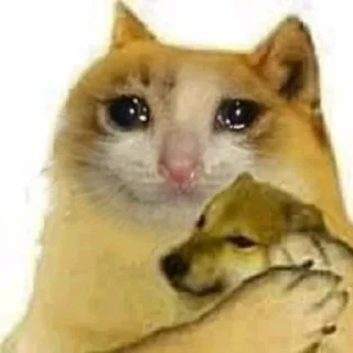 😭 emoji Crying Cat Deluxe Evolution Telegram sticker 18 of 120
