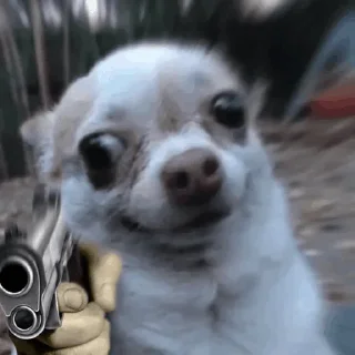 😐 emoji @xHotGifs 👈🏻 بقیه استیکرها تو چنل Telegram sticker 16 of 71