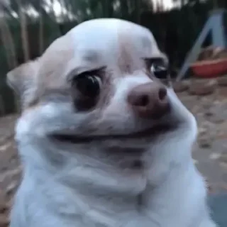😧 emoji @xHotGifs 👈🏻 بقیه استیکرها تو چنل Telegram sticker 4 of 71