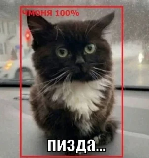 Sticker from чмоня:>>> х люблю маму