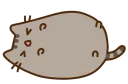 😄 emoji Pusheen Telegram sticker 18 of 62