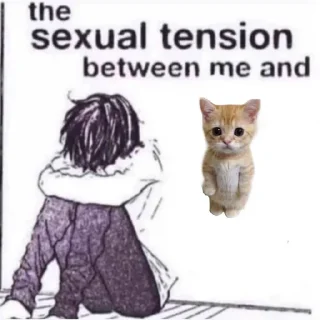 ♥️ emoji the sexual tension between me and @weeklyshitposting Telegram sticker 8 of 70