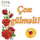 😂 emoji ShS-Az-Turk Telegram sticker 16 of 46