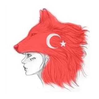 ❤️ emoji Saray turk Telegram sticker 11 of 16