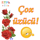 😢 emoji ShS-Az-Turk Telegram sticker 18 of 46