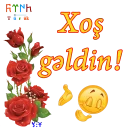 😄 emoji ShS-Az-Turk Telegram sticker 14 of 46