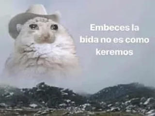 😭 emoji frases 2 Telegram sticker 11 of 49