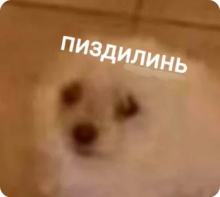 🙂 emoji Українські меми від @buterrka 😦 Telegram sticker 14 of 18