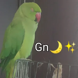 Sticker from Tutu The Third🦜