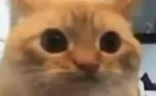 😟 emoji Mood : the third Telegram sticker 24 of 50
