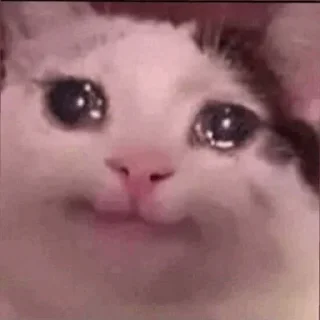 ❄️ emoji Cat Crying @ToxicPrincesses Telegram sticker 14 of 60