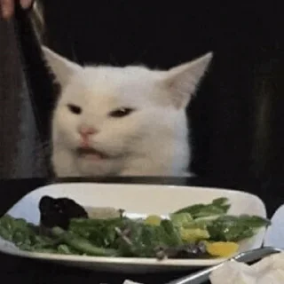 ❄️ emoji Cat Crying @ToxicPrincesses Telegram sticker 23 of 60