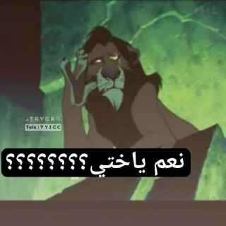 🦯 emoji ‹ @B7IRI › بحيري بتاع الأستيكرز Telegram sticker 10 of 29