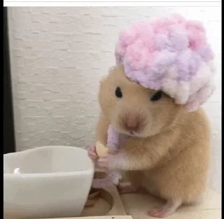 🐹 emoji Hamster. Telegram sticker 17 of 28