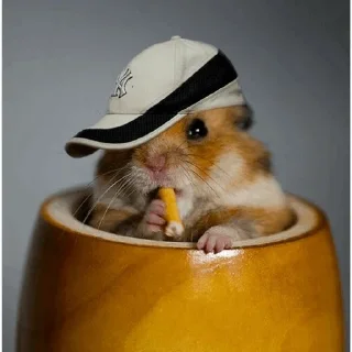 🐹 emoji Hamster. Telegram sticker 22 of 28