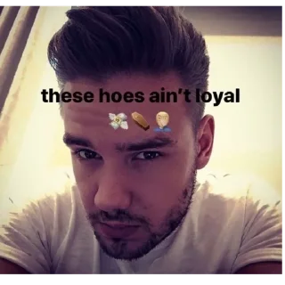 Sticker from all payne