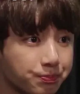 🤌 emoji Jungkook Telegram sticker 8 of 24